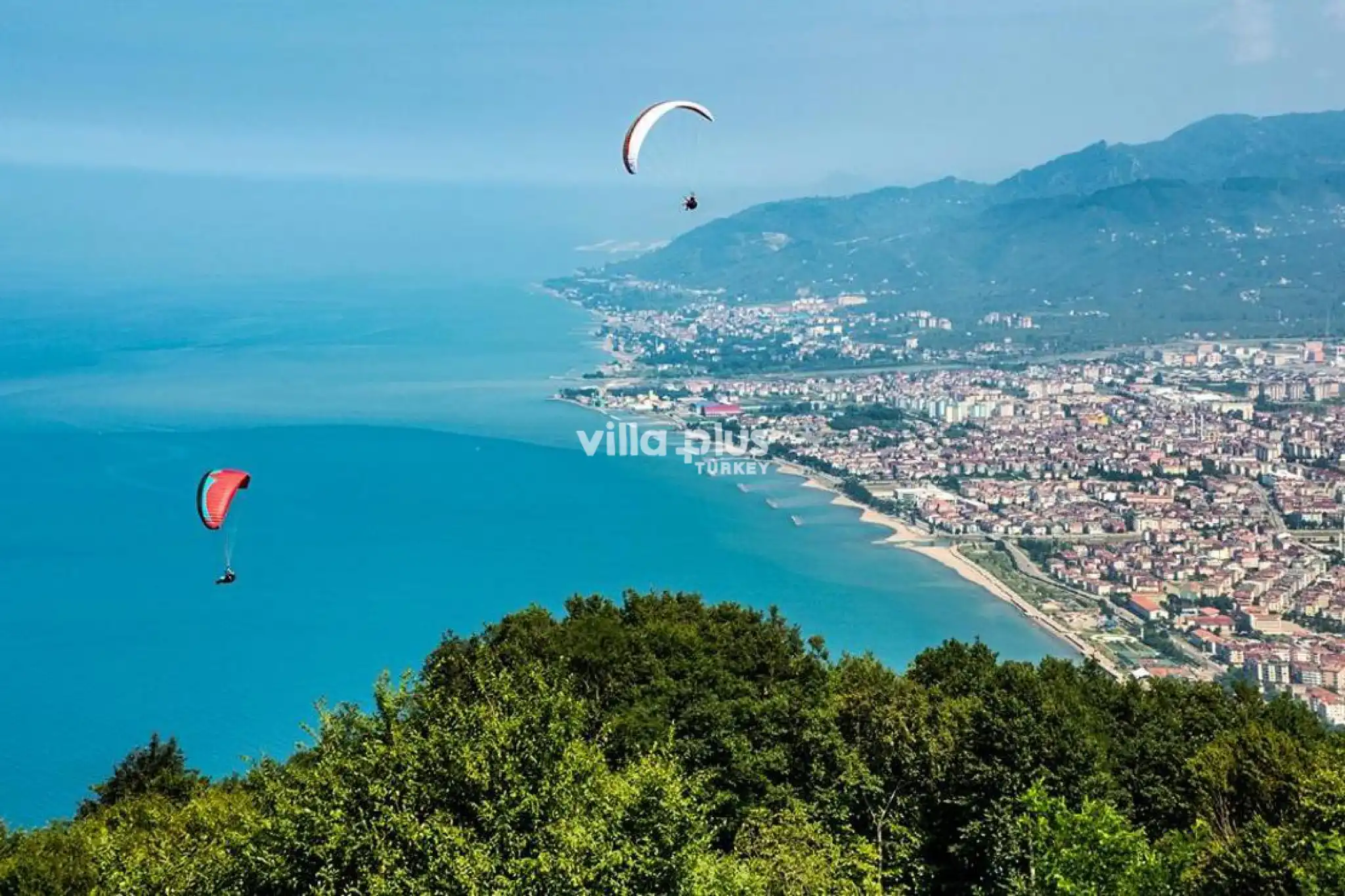 Ordu