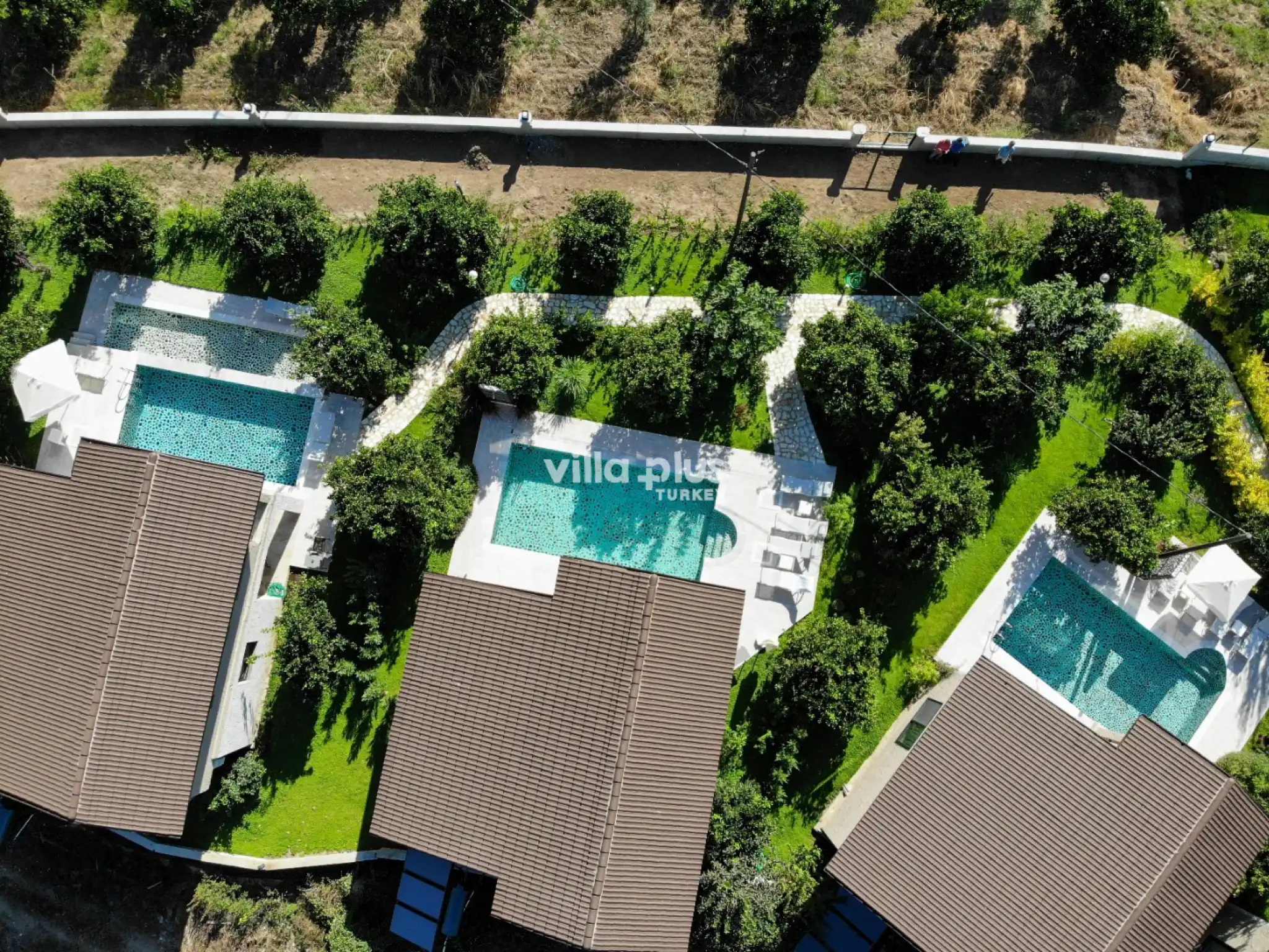 dji_0755raw_511.jpg