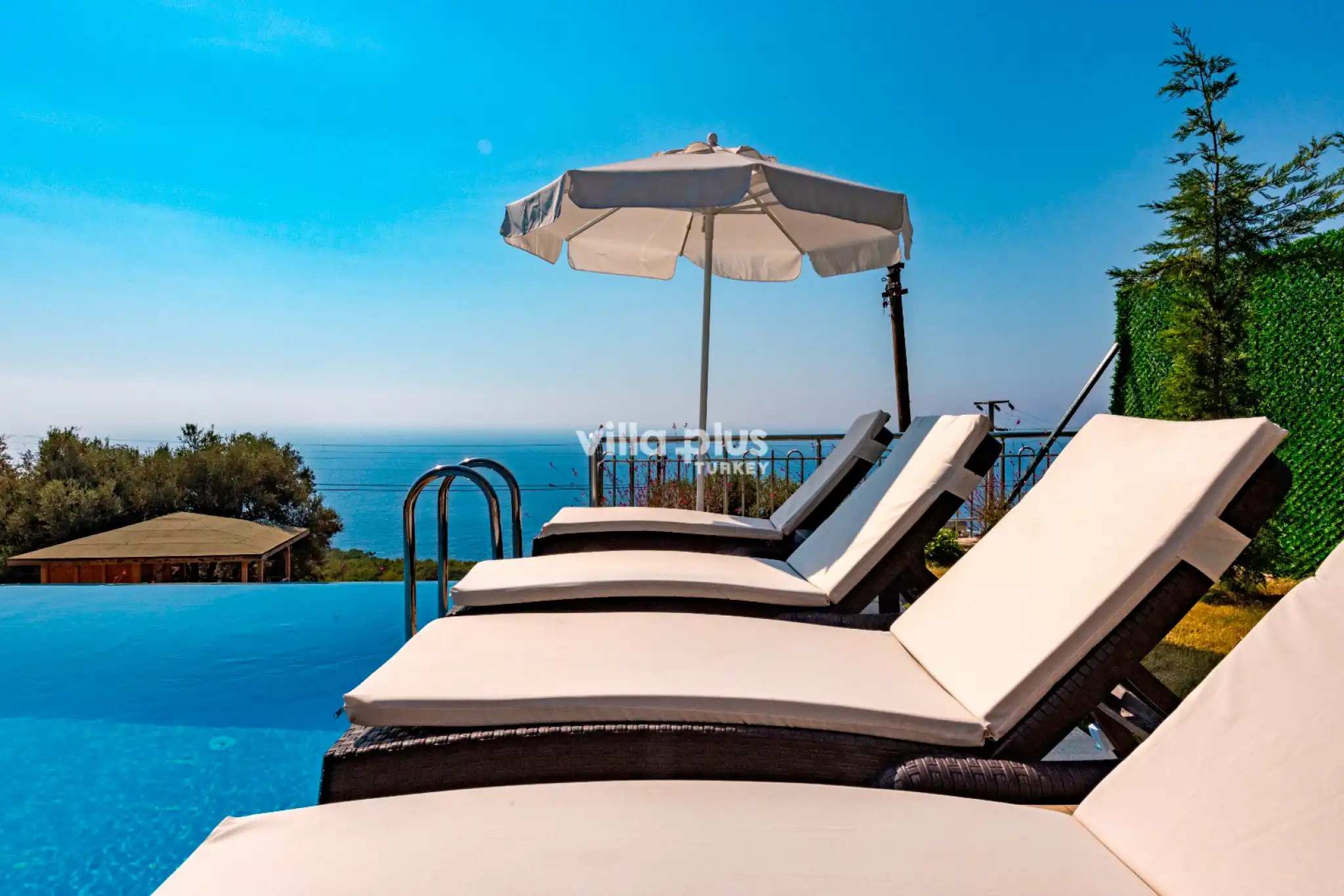knn_6807raw_336.jpg