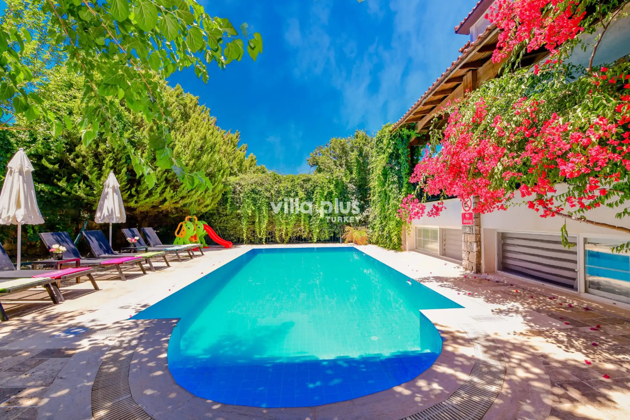 Villa Dova 4