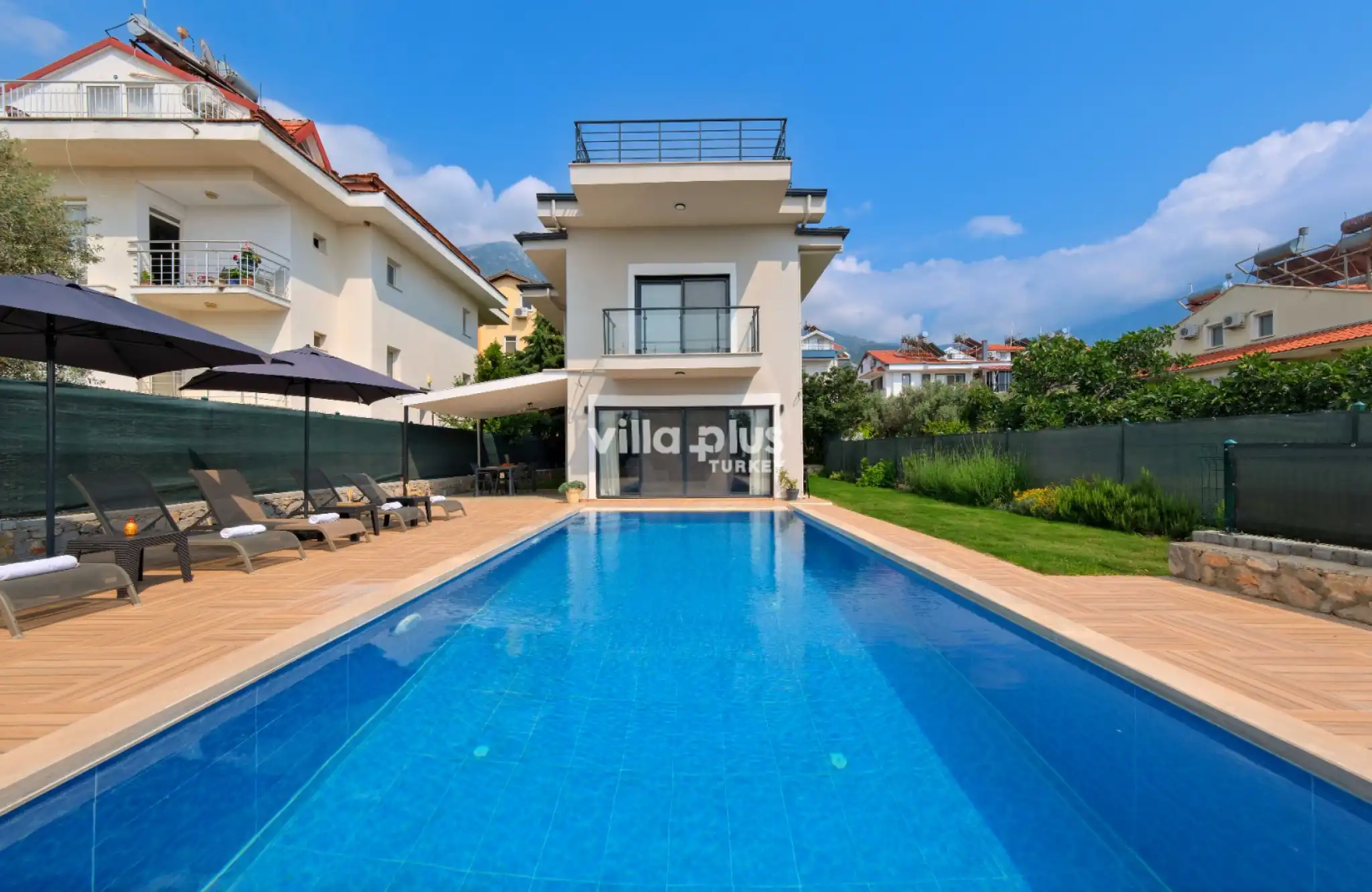 villa-arbore-16_974.jpg