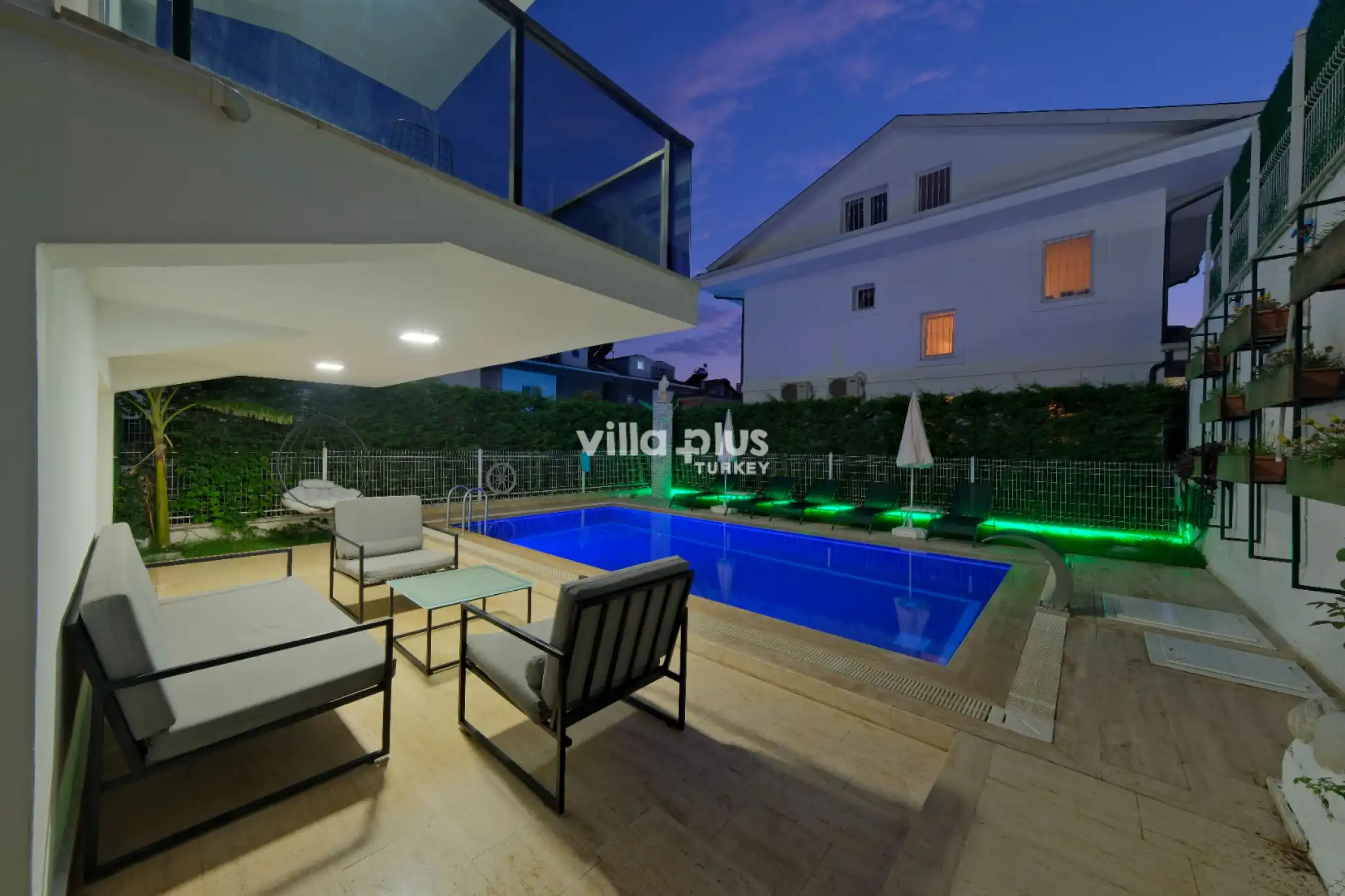 wilda-7_858.JPG