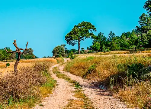Discover Beycik Village 