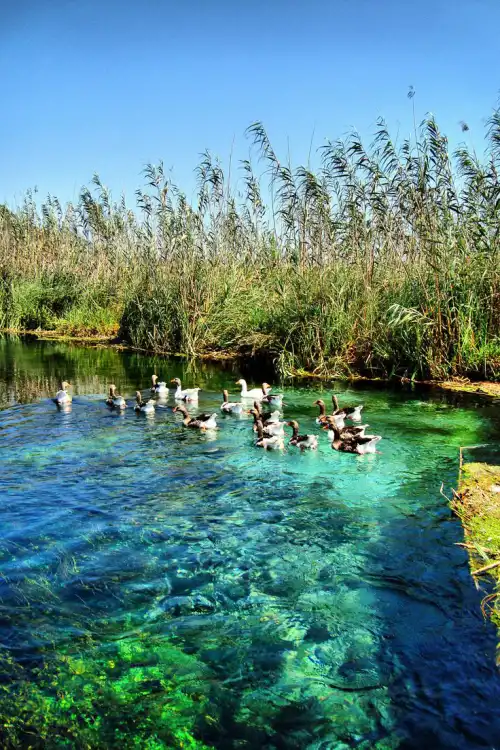 Azmak Creek
