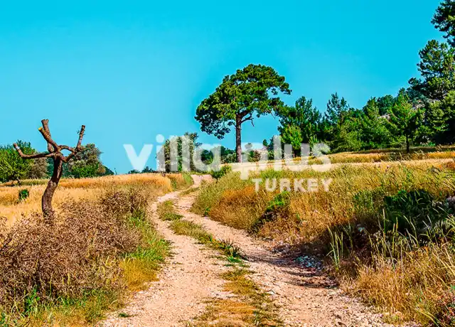 Discover Beycik Village 