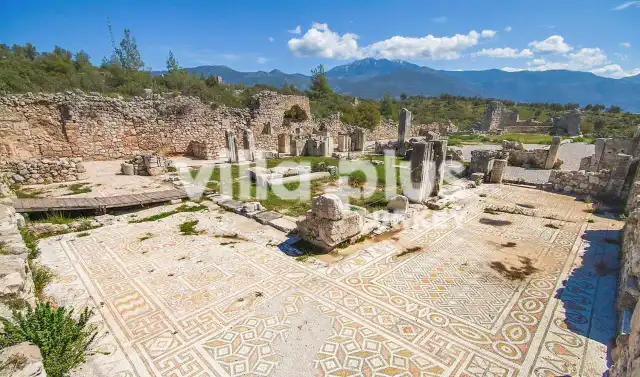 Exploring the Enigmatic Xanthos 