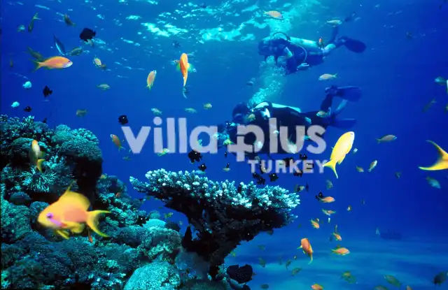 Fethiye Scuba Diving