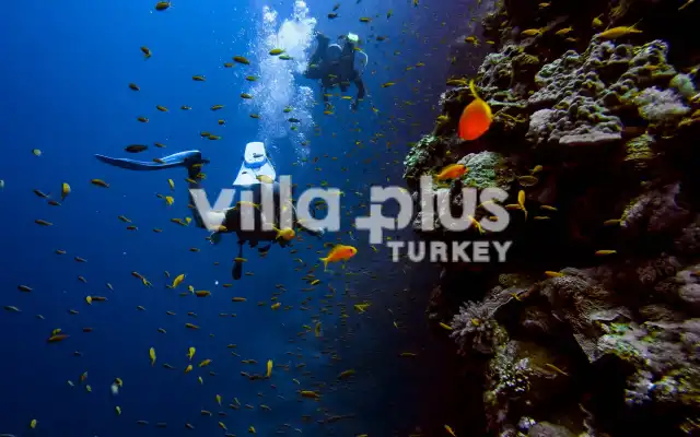 Antalya Scuba Diving