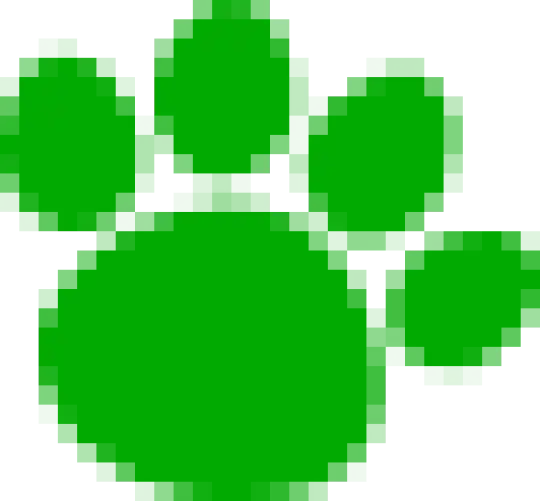 Pet Allowed Villa Rental