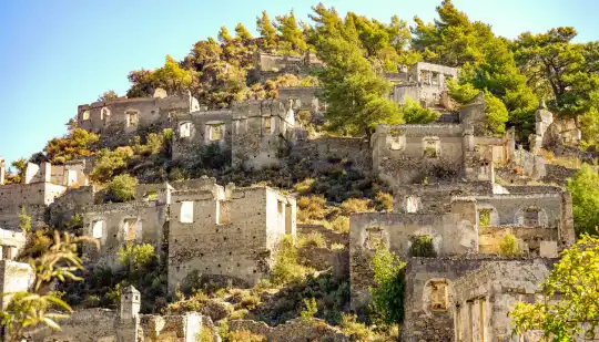 villareyonu