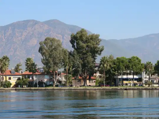villareyonu